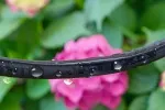 Flat Soaker Hose